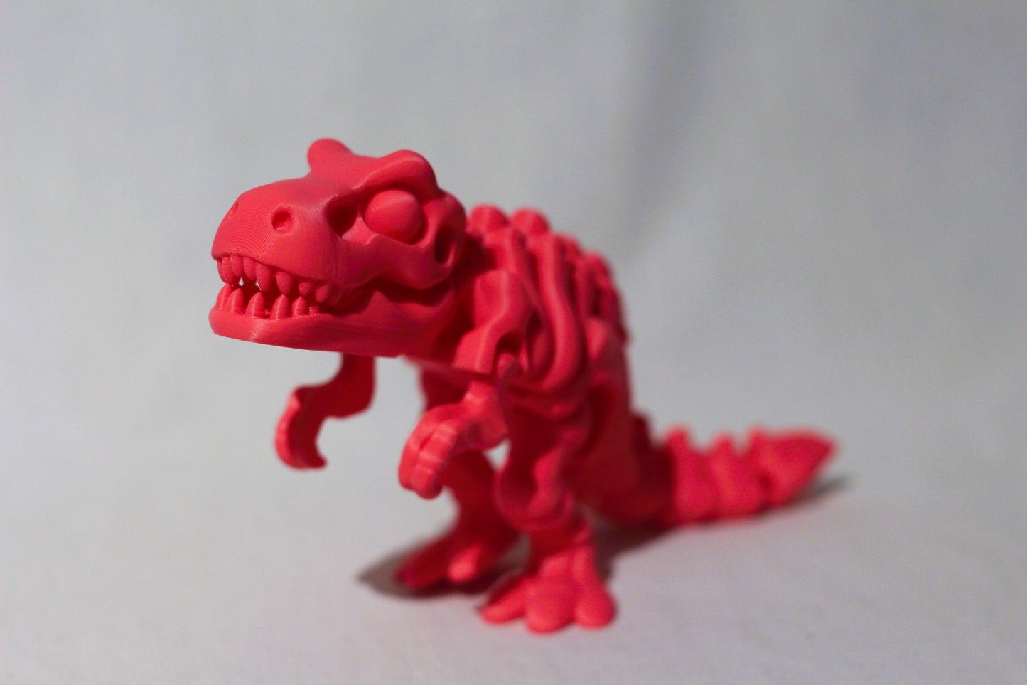 Skelett dinosaurie