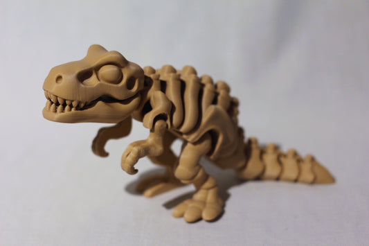 Skelett dinosaurie